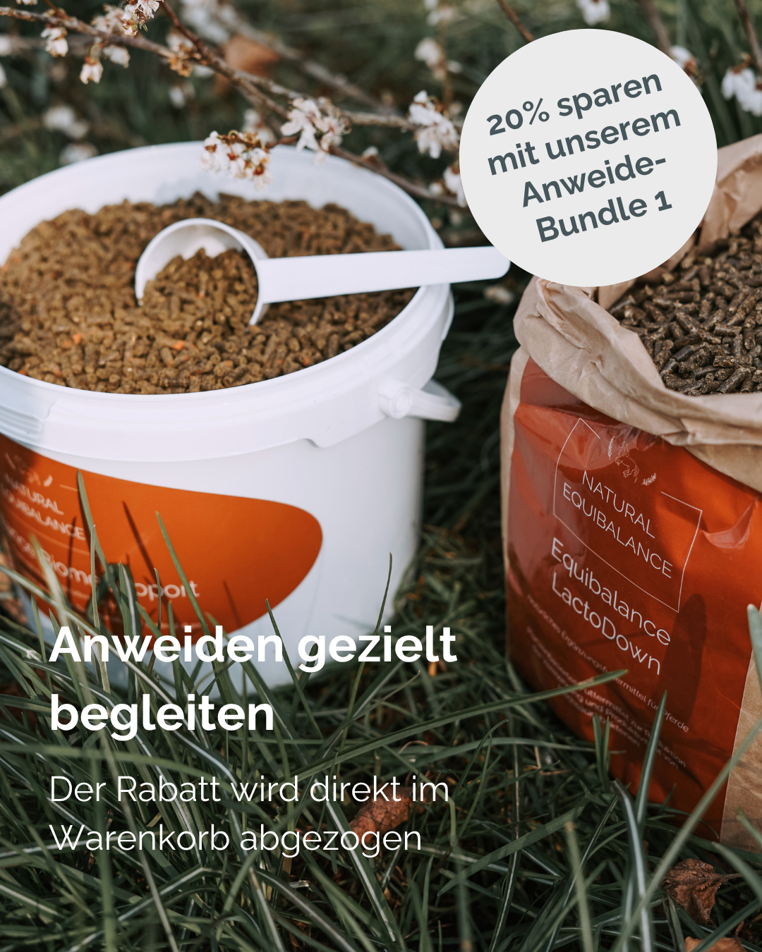 🌷 Anweide-Bundle 1: Darmmikrobiom