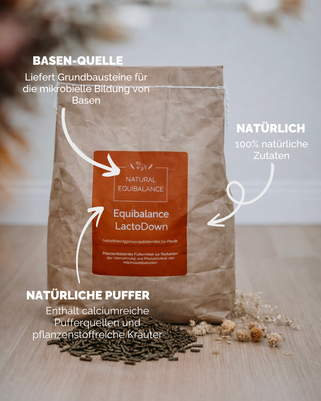 Equibalance LactoDown 3 kg