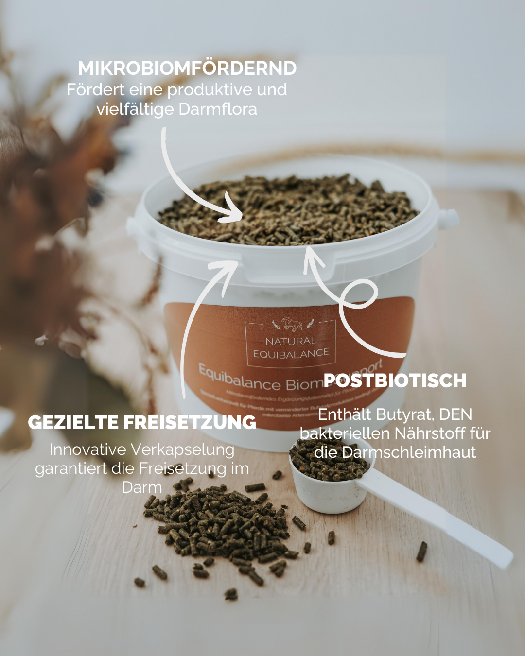 Darmmikrobiom Rezept Pferd