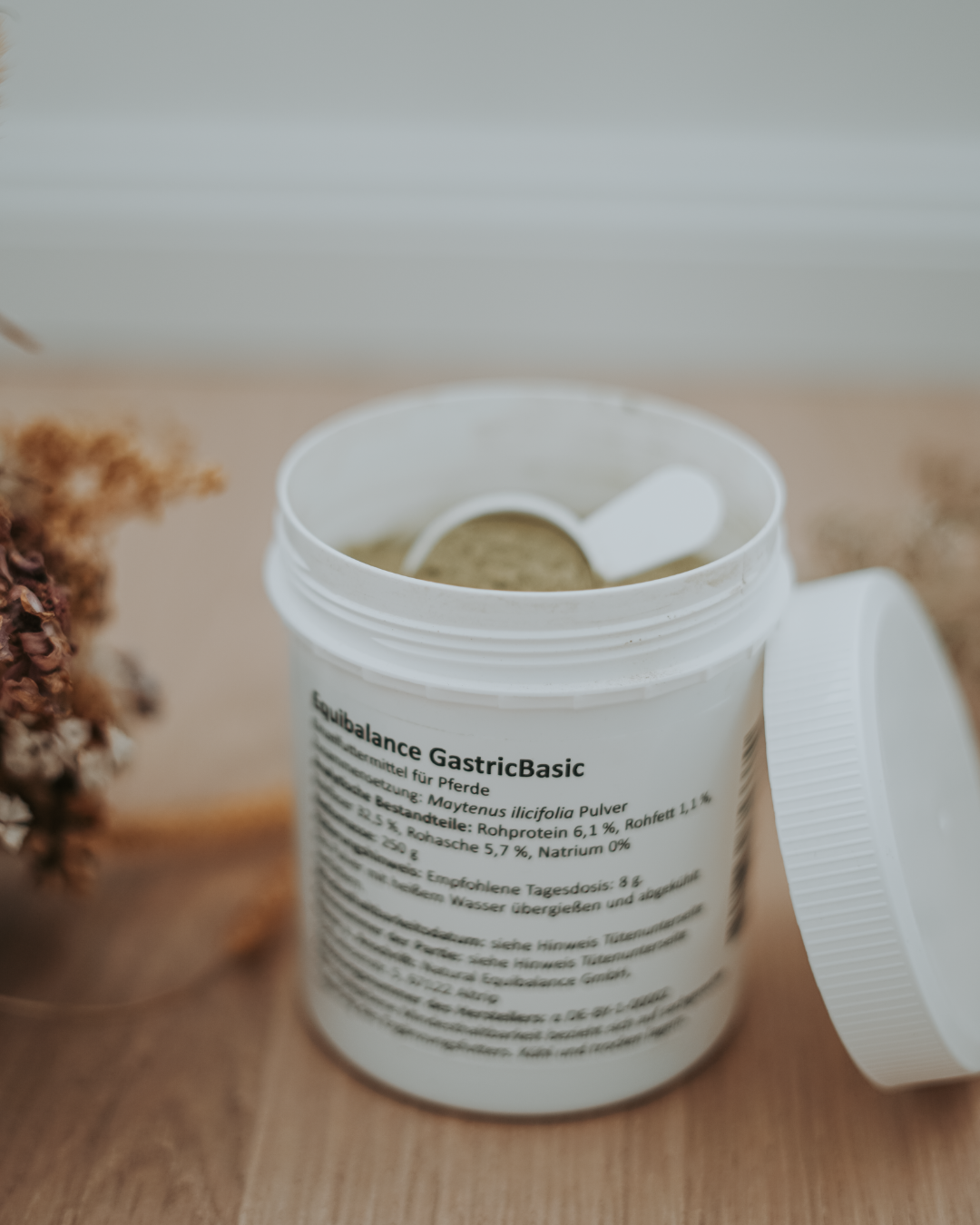 Maytenus ilicifolia Magengeschwüre Pferd