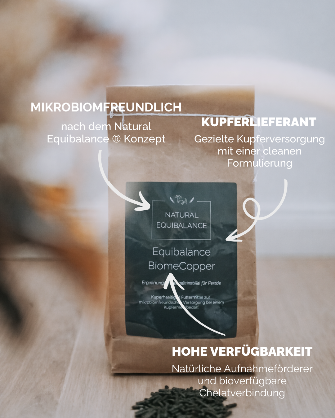 Kupfer Versorgung Spurenelement Pferd