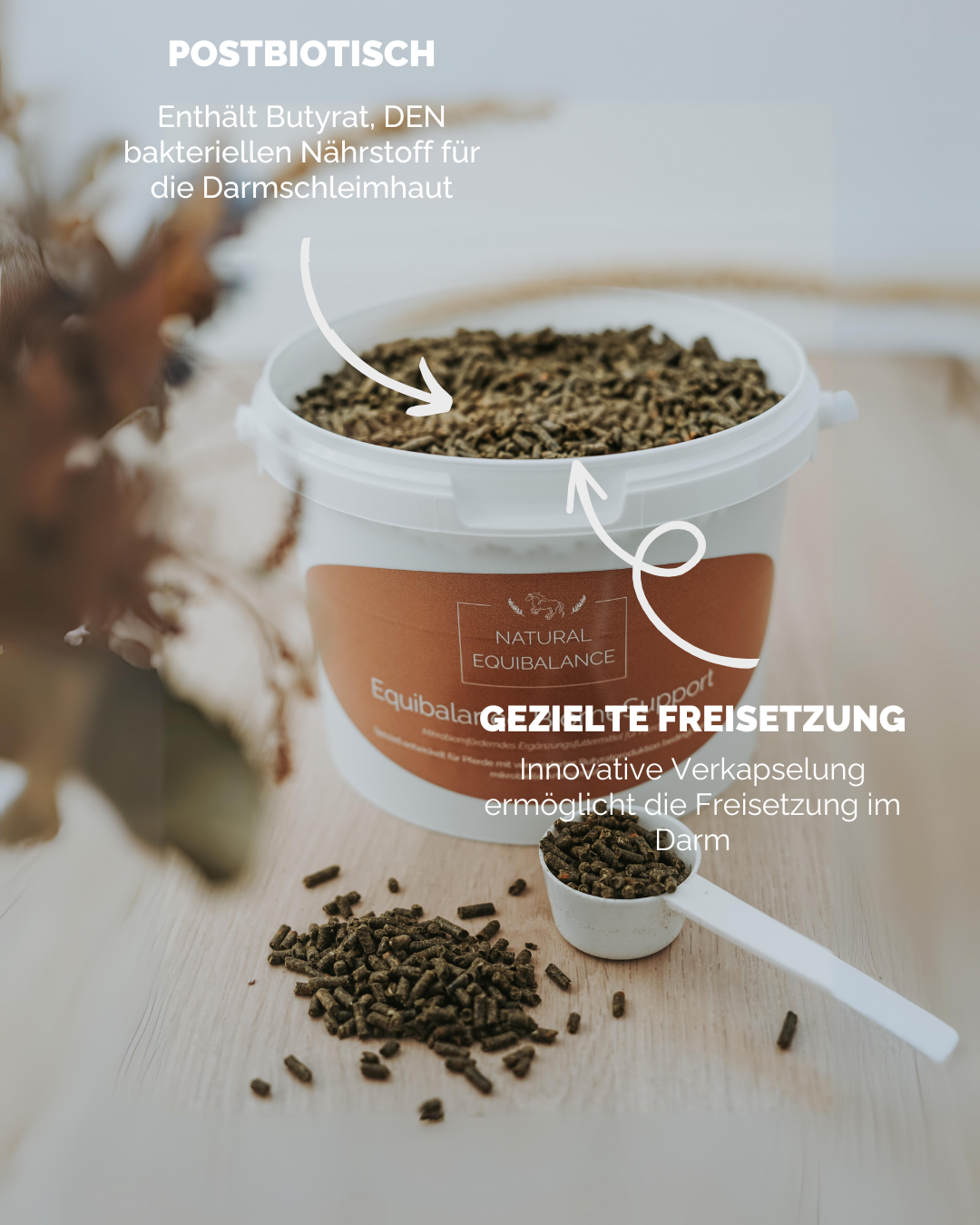 Equibalance BiomeSupport Pellets verkapseltes Butyrat Pferd
