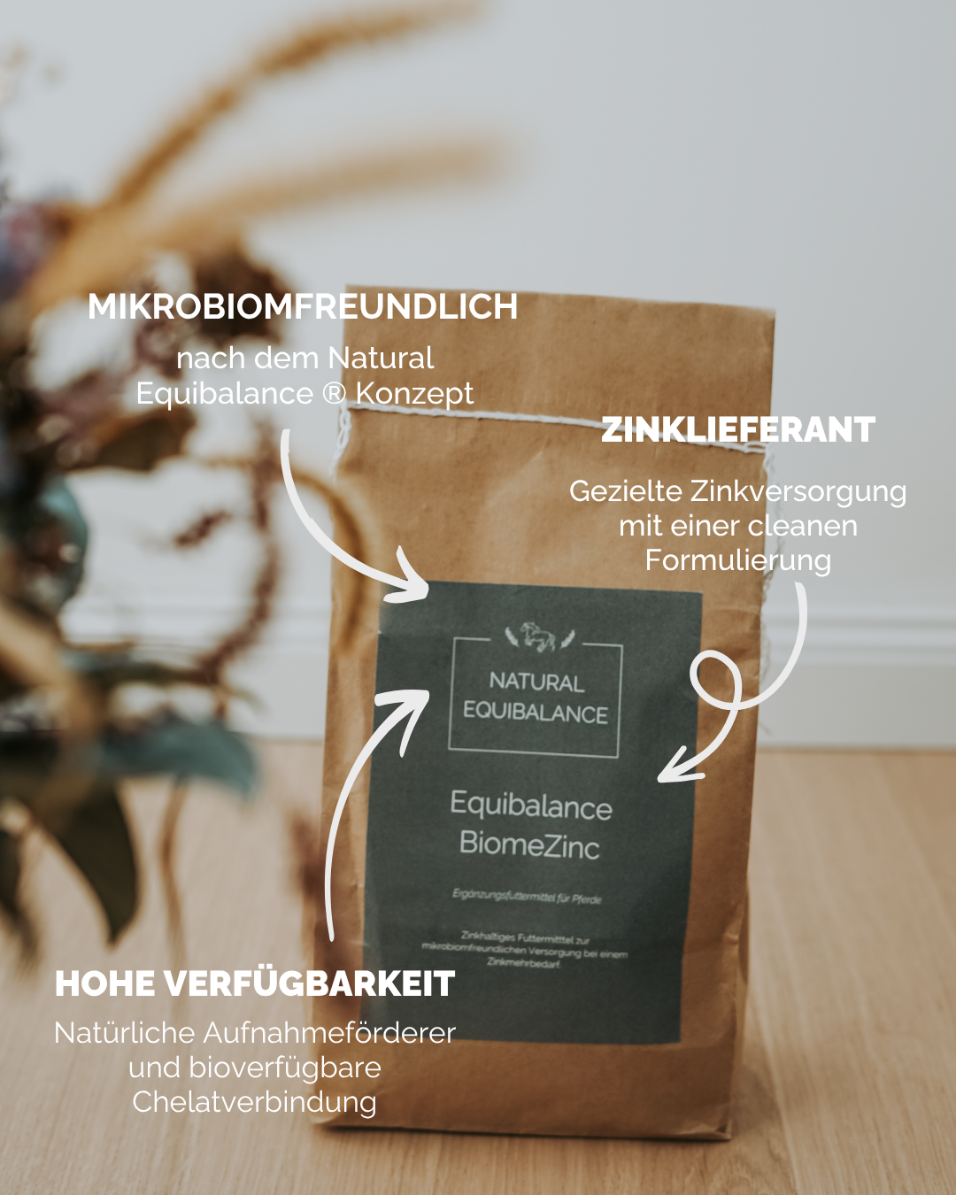 Equibalance BiomeZinc 750 g Verpackung mit Zink für Pferde