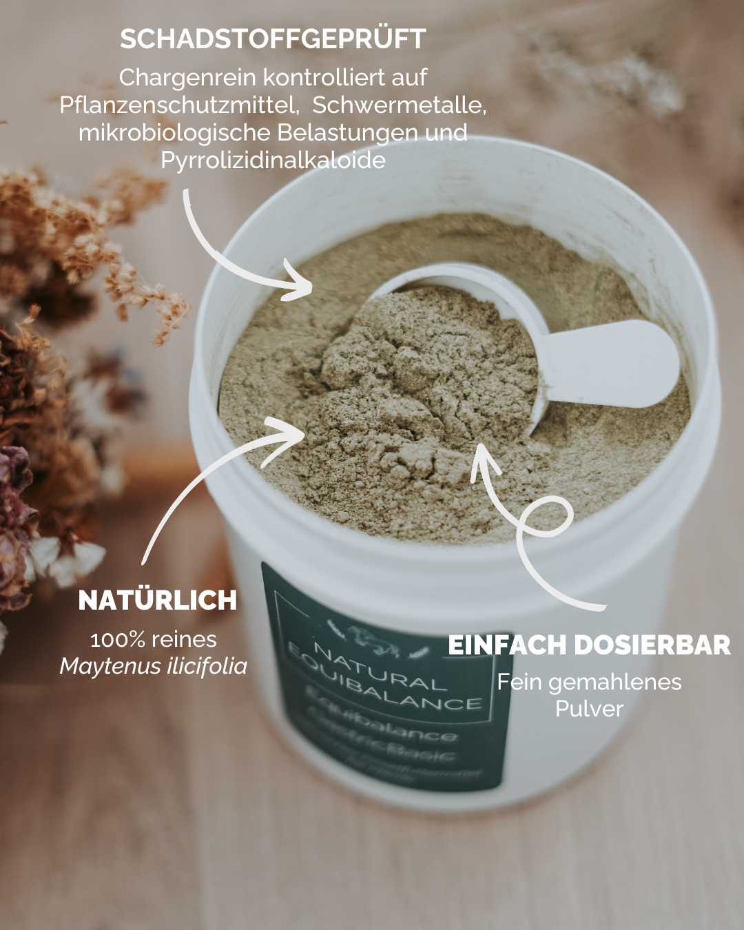 Maytenus ilicifolia Pulver Tee Pferd Ulcerovet