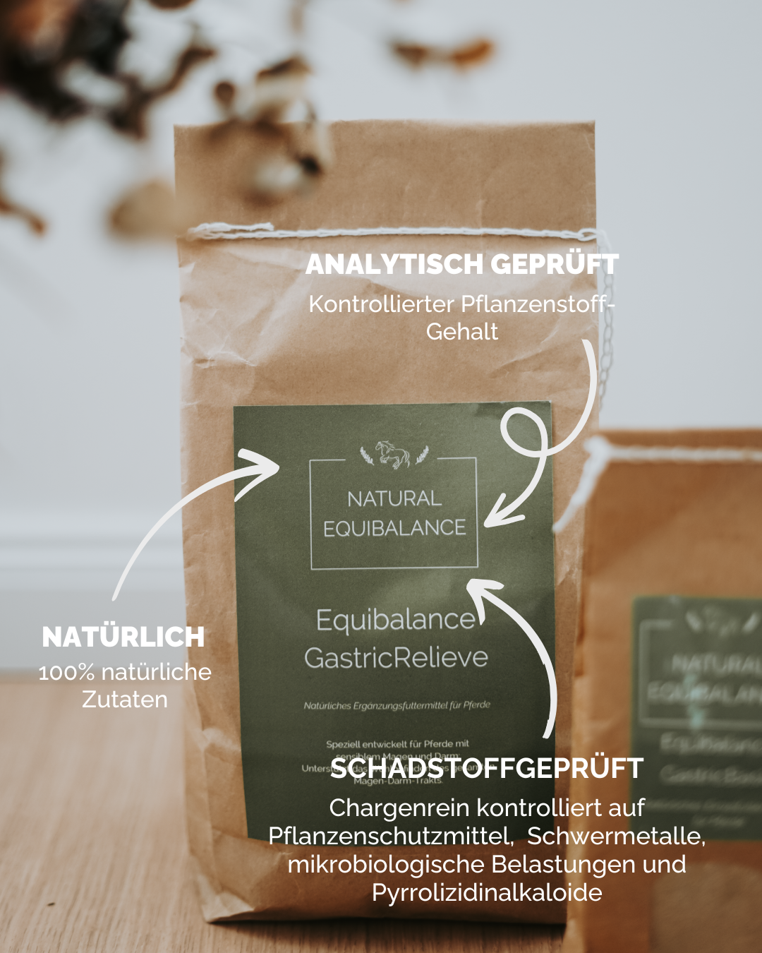 Maytenus ilicifolia Pulver Tee Pferd Ulcerovet