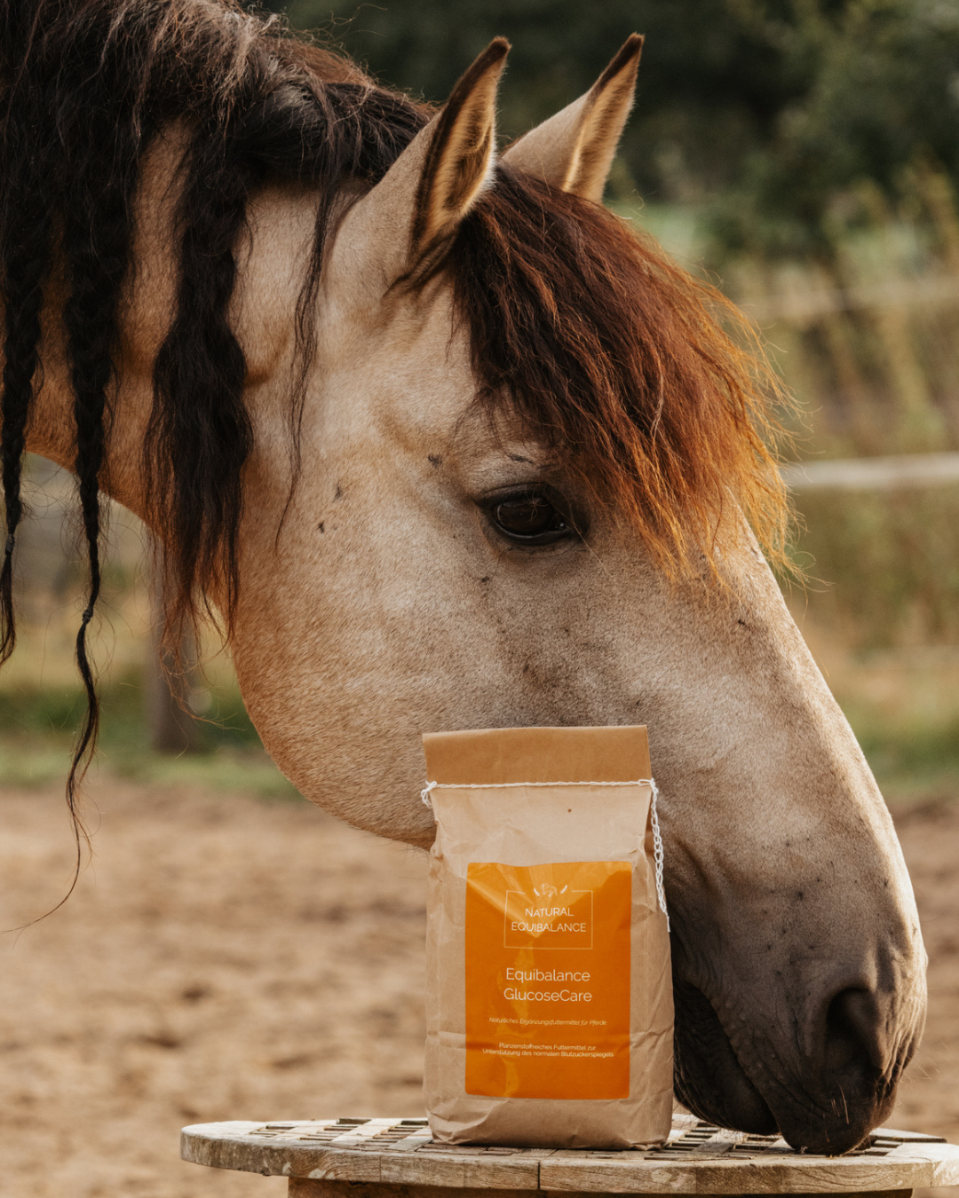 Equibalance GlucoseCare 1.5 kg – Natural Equibalance