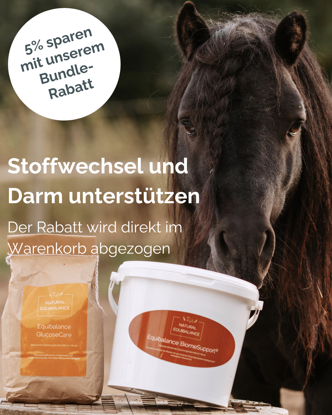 Stoffwechsel & Mikrobiom Duo