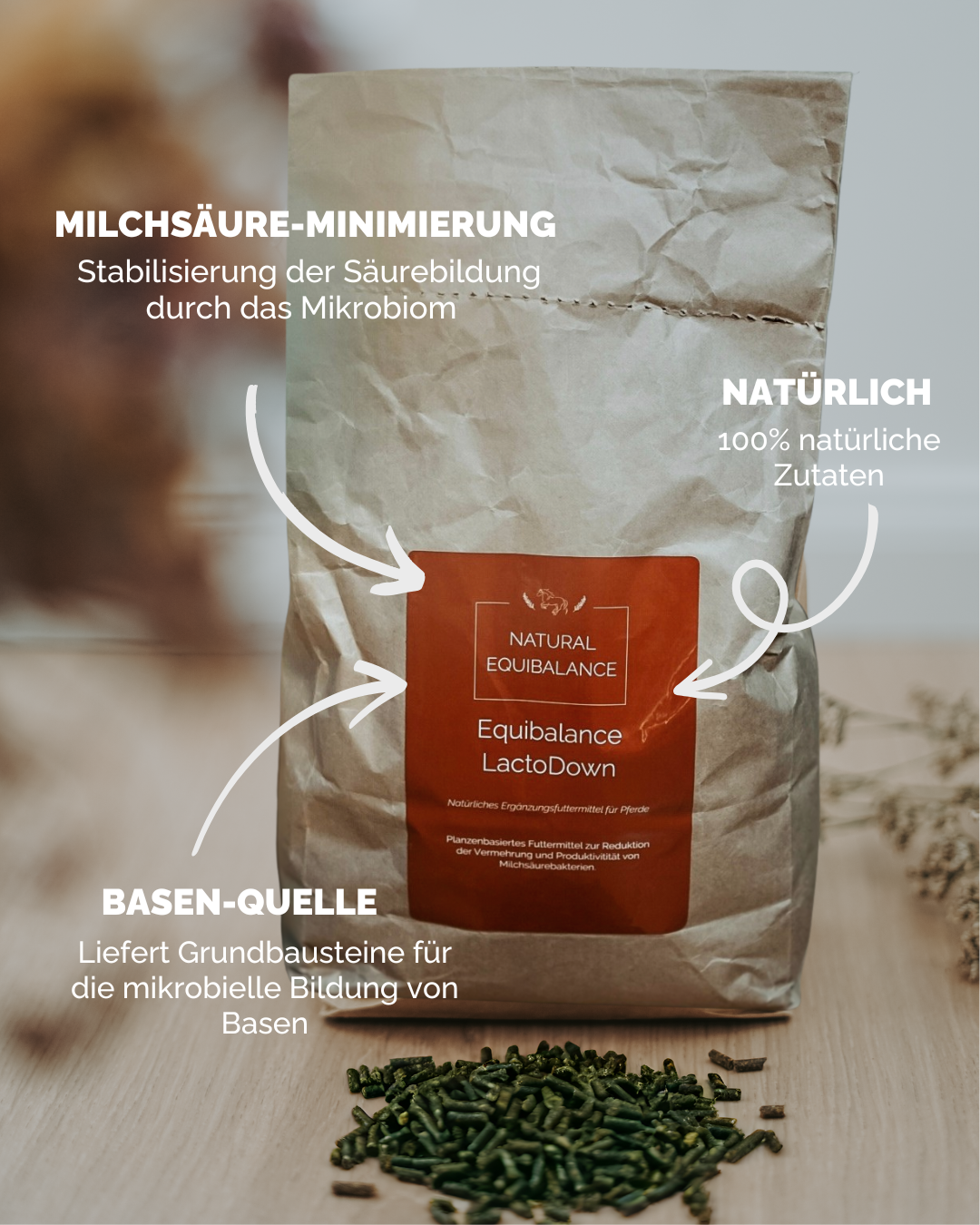 Equibalance LactoDown 3 kg