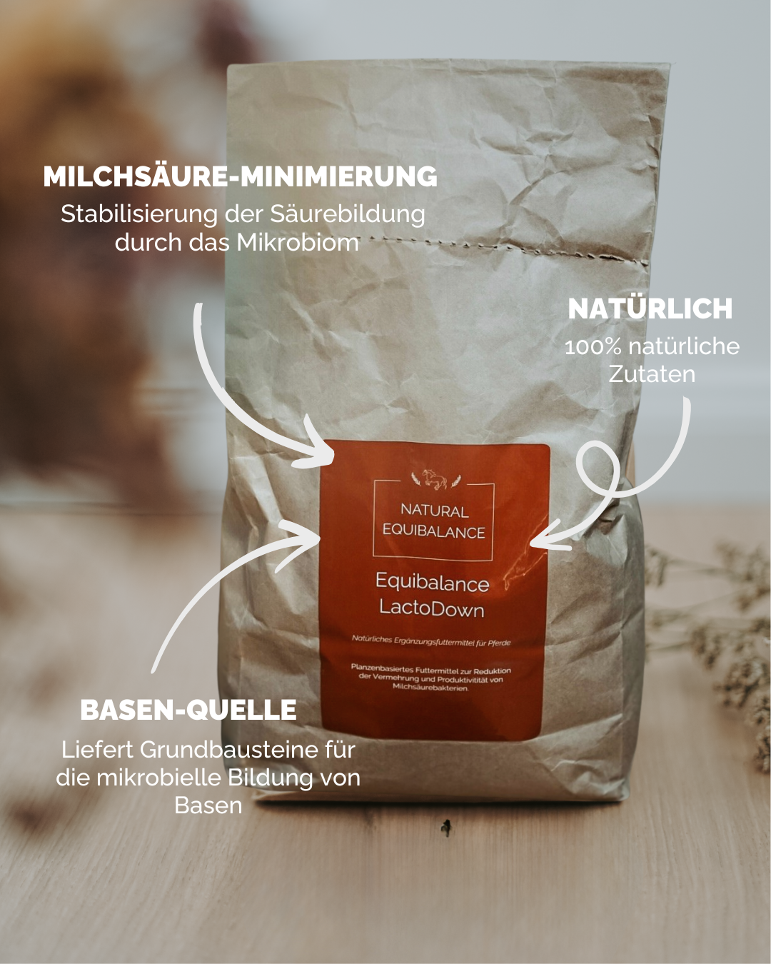Equibalance LactoDown 3 kg