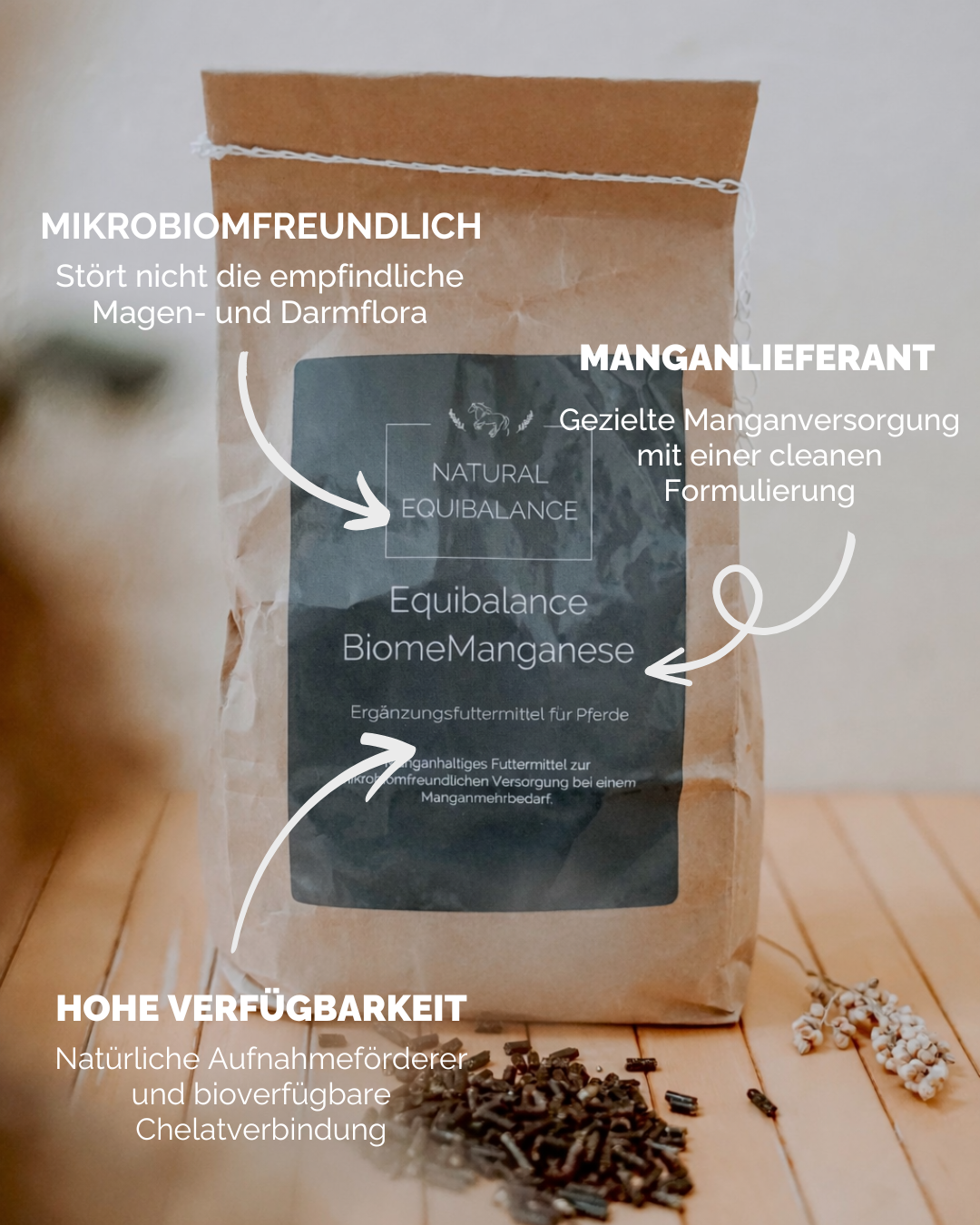 Equibalance BiomeManganese 750 g