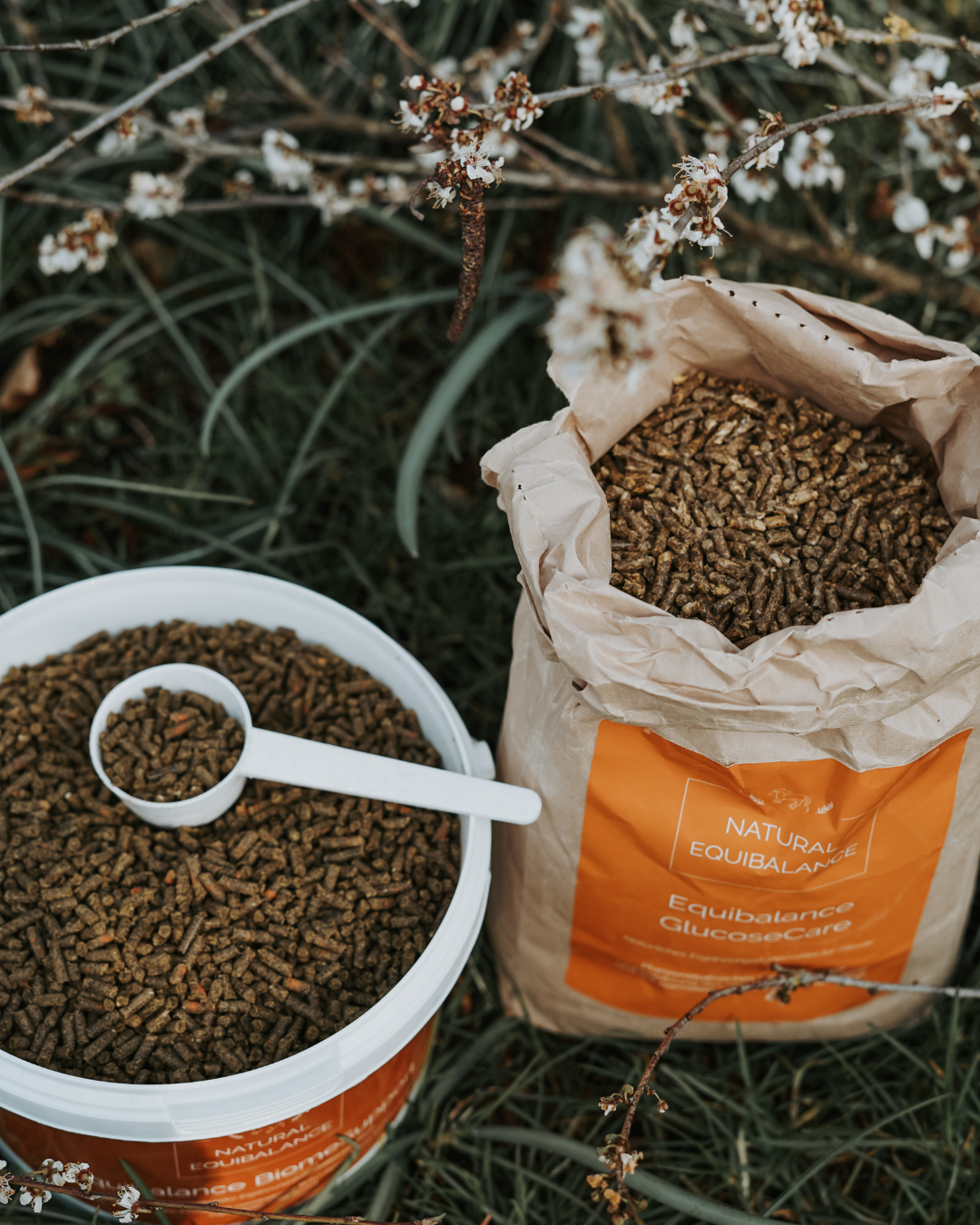 🪻Anweide-Bundle 2: Stoffwechsel