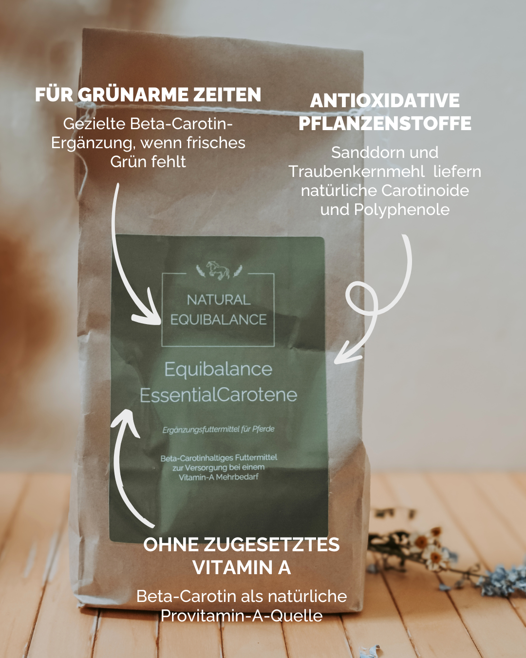 Equibalance EssentialCarotene 750 g