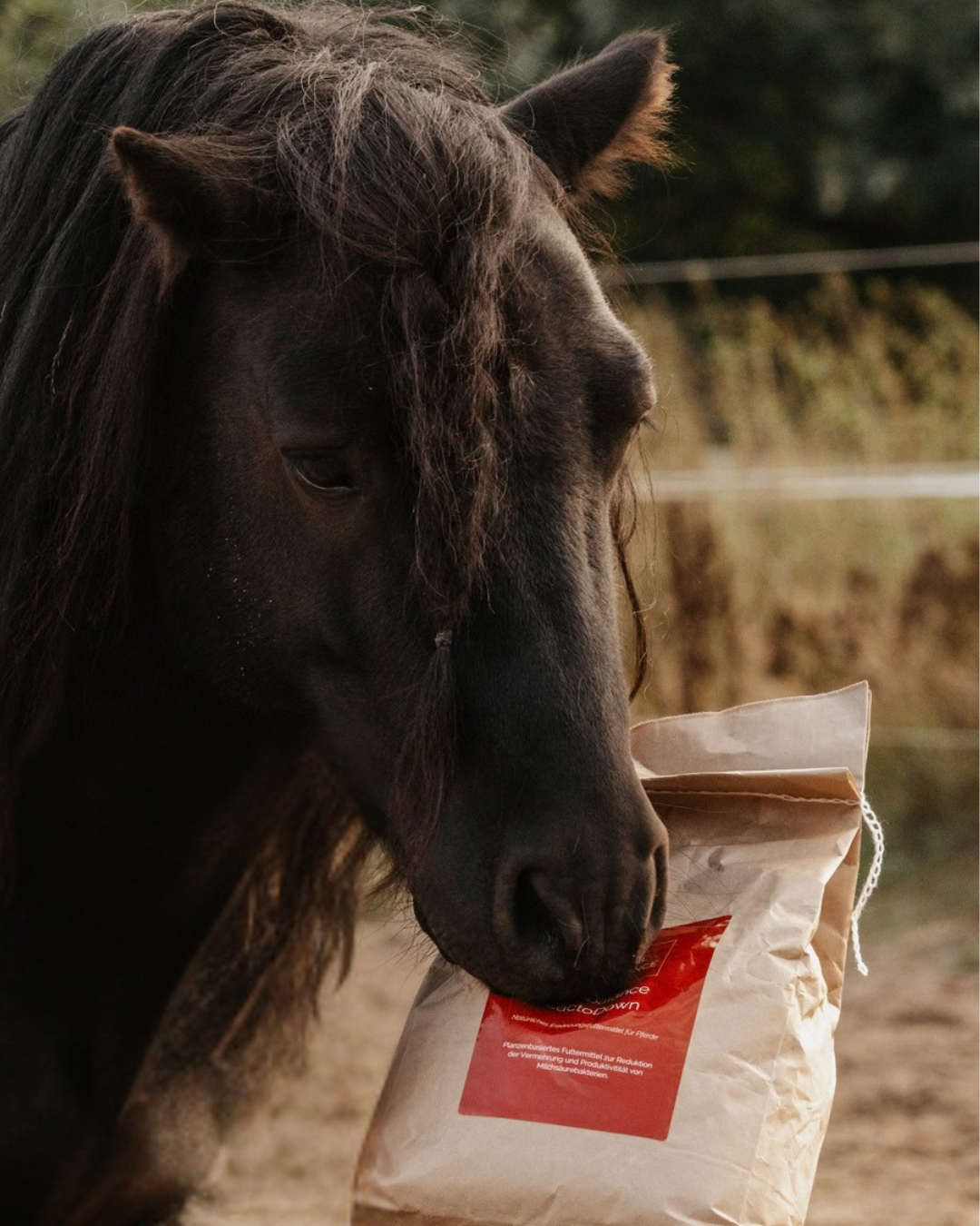 Equibalance LactoDown 3 kg