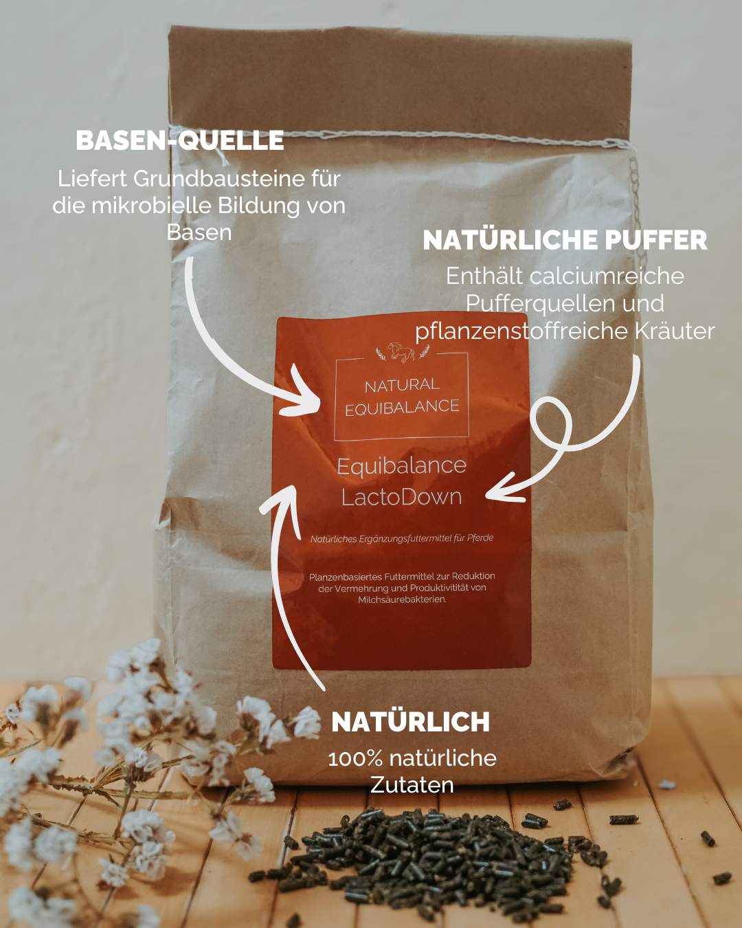 Equibalance LactoDown 3 kg – Natural Equibalance