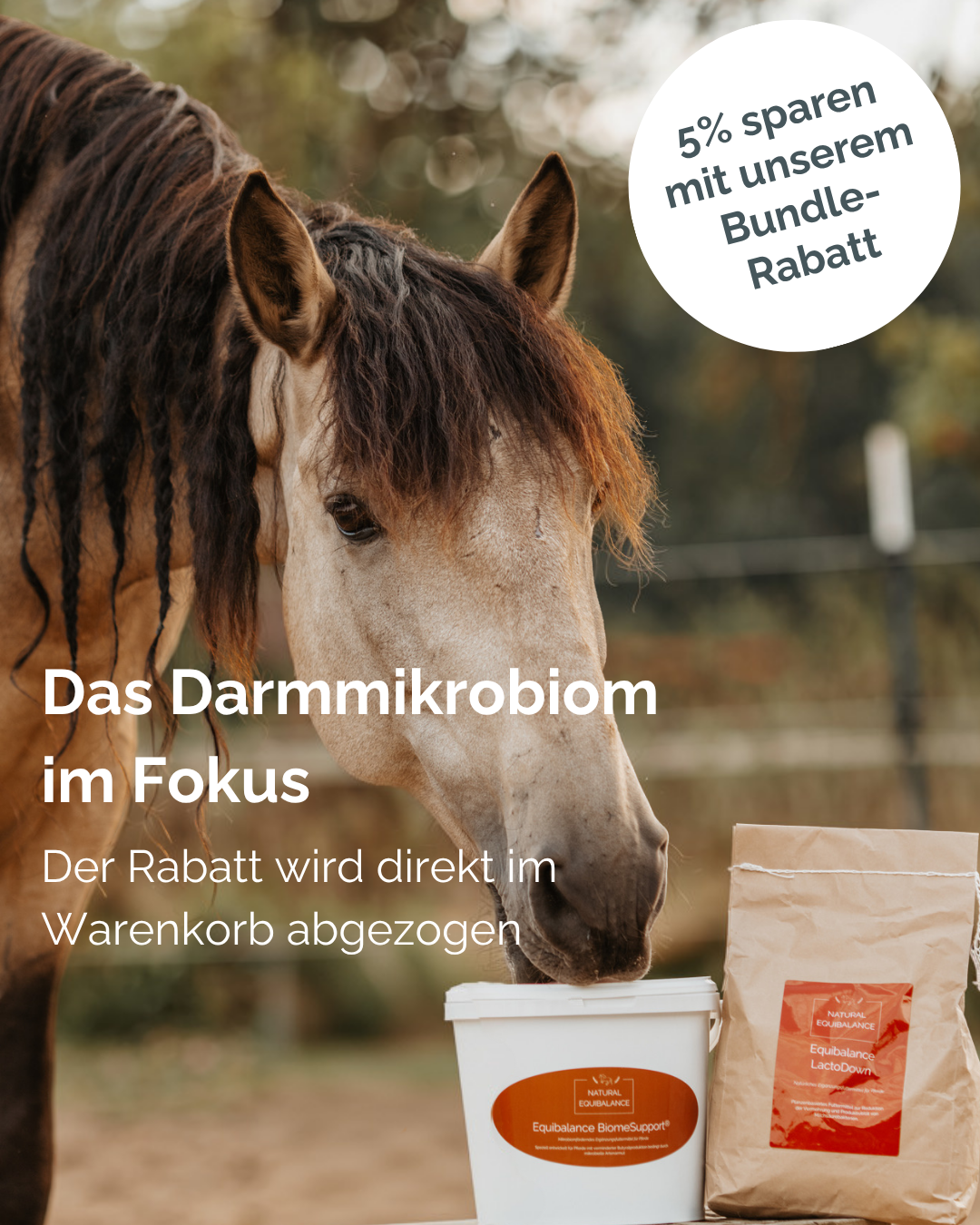 Darmmikrobiom Duo