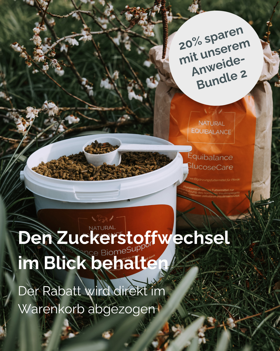 🪻Anweide-Bundle 2: Stoffwechsel