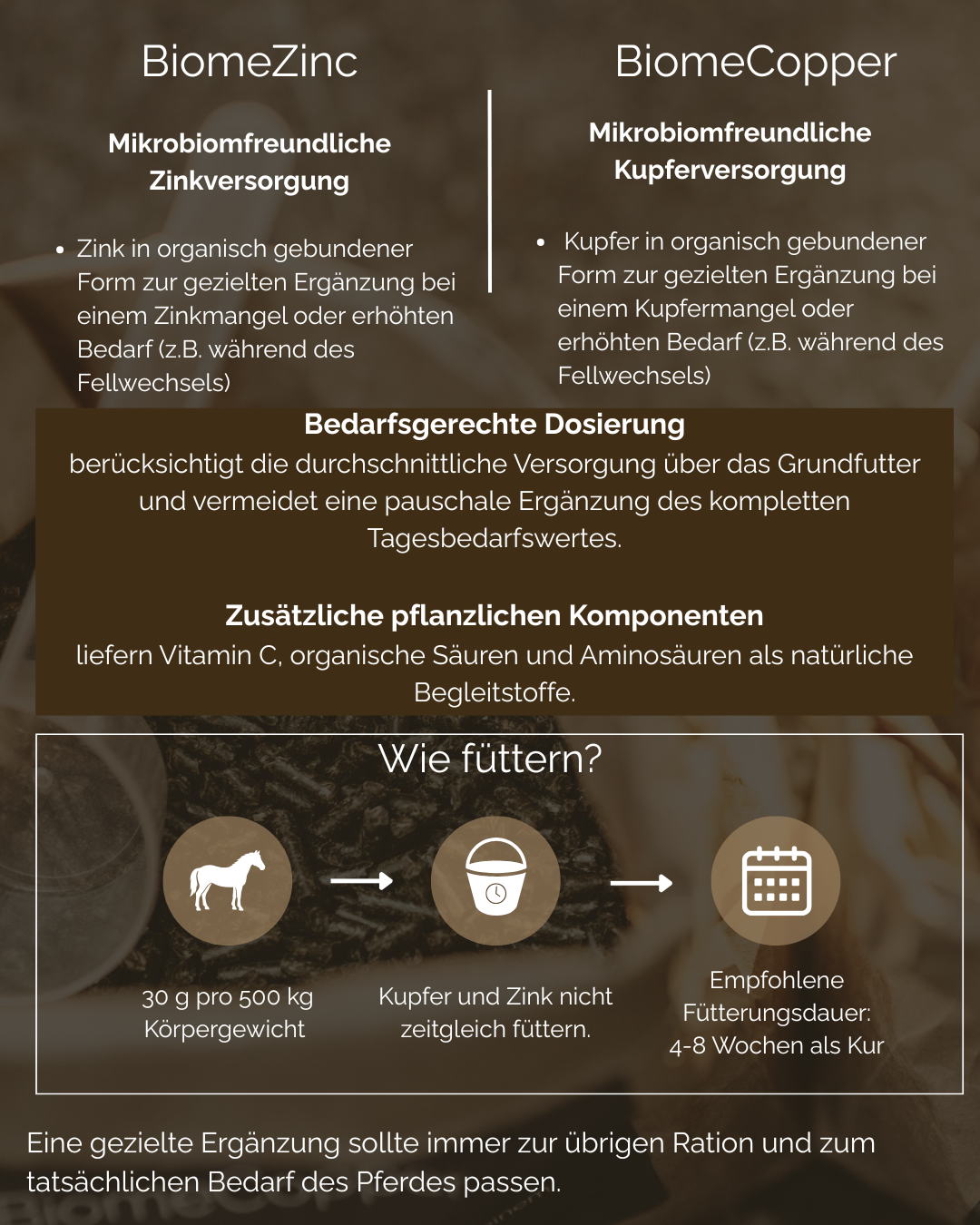 Haar & Horn Duo