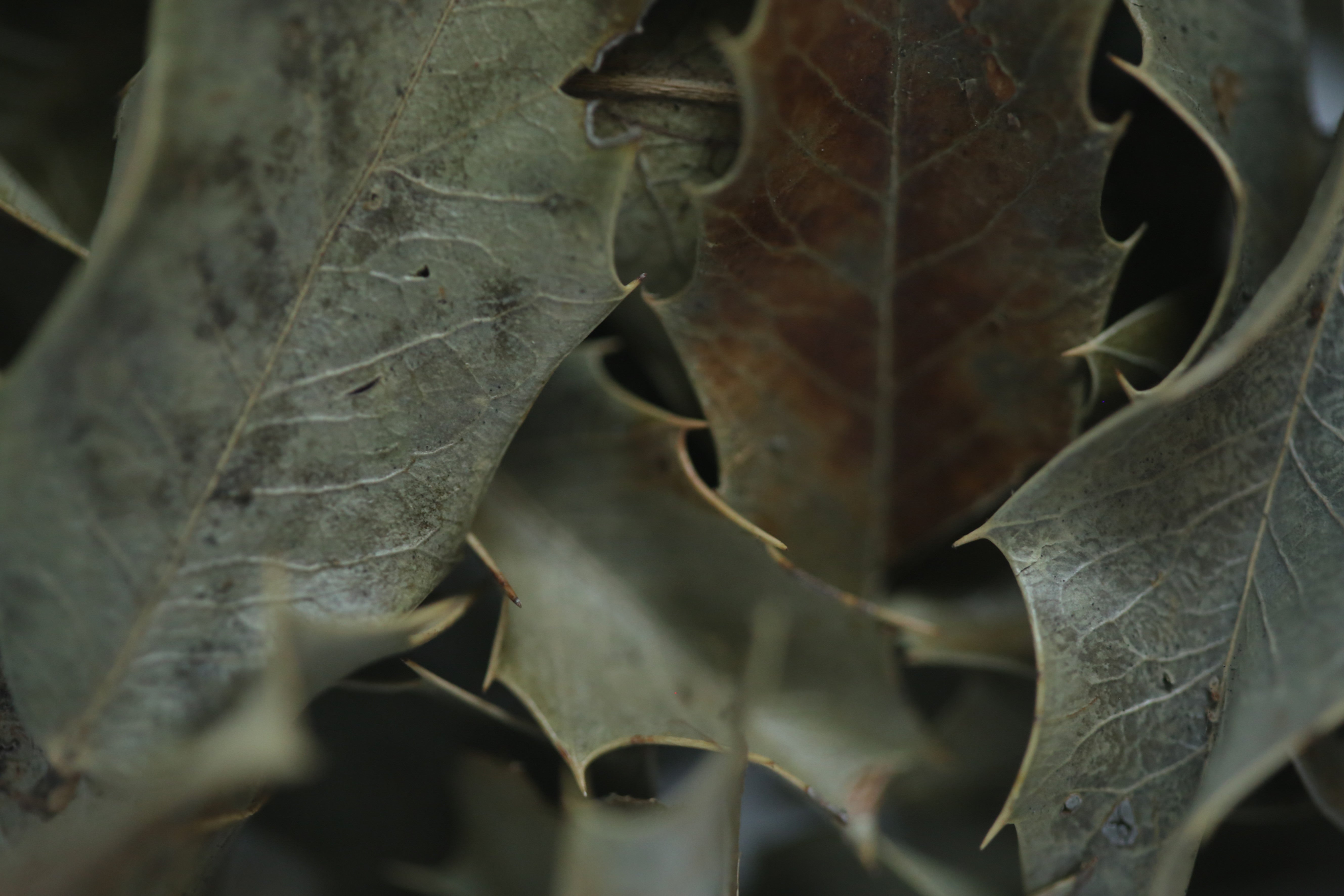 AdobeStock_341471721.jpeg